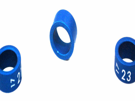 ANILLA 11MM COM SERIE Y AÑO