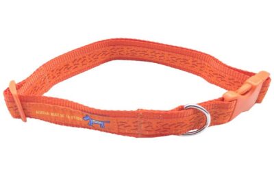 COLLAR T-5 BASICO 30.0MMX50.0-70.0CMS AGATHA