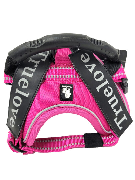 ARNES SECURE SOFT FUCSIA XXXS 29-36CMS