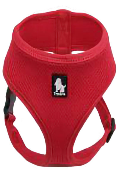 ARNES MESH ROJO M 41-48CMS