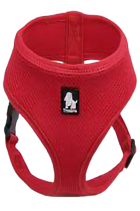 ARNES MESH ROJO M 41-48CMS