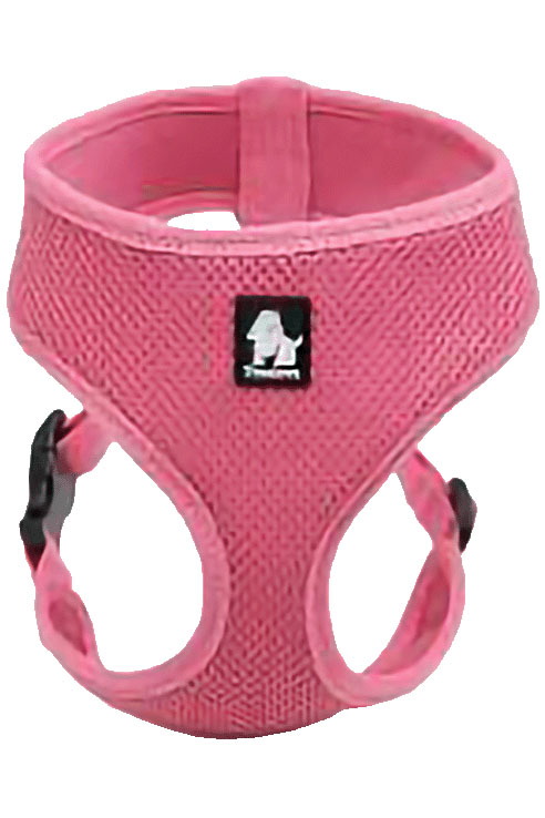 ARNES MESH ROSA XS 28-33CMS
