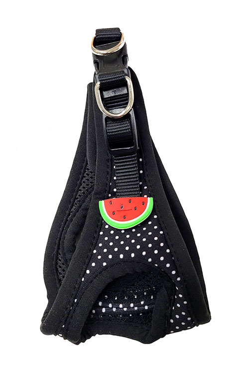 ARNES LUNARES SANDIA XS 25-30CMS