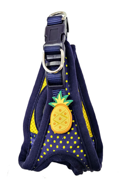 ARNES LUNARES PIÑA M 38-46CMS