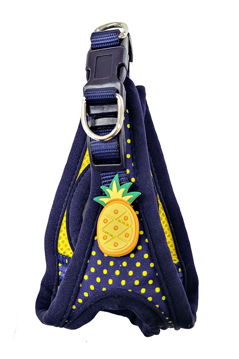 ARNES LUNARES PIÑA M 38-46CMS