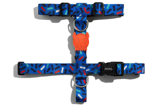 ARNES H ATLANTA M C31-50/A42-69CMS
