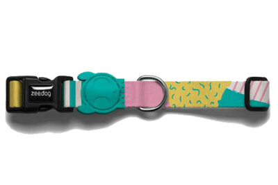 COLLAR SALINA L 45-70CMSX2.5CMS