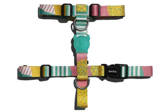 ARNES H SALINA M C31-50/A42-69CMS
