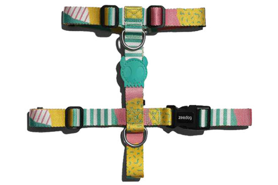 ARNES H SALINA XS C20-34/A23-38CMS
