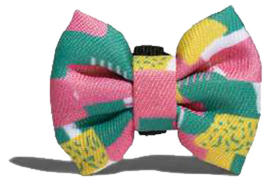 PAJARITA SALINA LARGE 10CMS