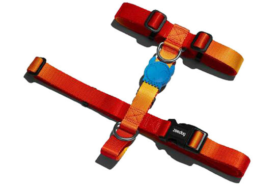 ARNES H SOLARIS XS C20-34/A23-38CMS