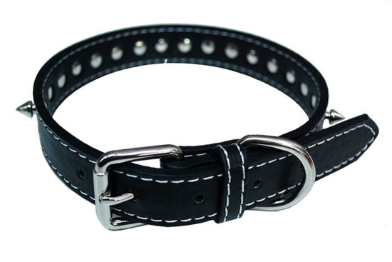 COLLAR 2.5X50CMS PINCHOS NEGRO
