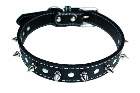 COLLAR 2.5X55CMS PINCHOS NEGRO