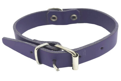 COLLAR 30CMS MOR ORINOCO CUERO 20.0MMX30.0CMS