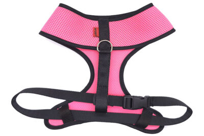 ARNES 39CMS 51-70A RS FLUOR ACC PLUS