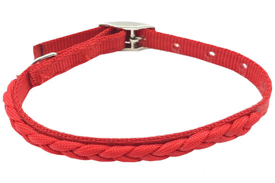 COLLAR NYLON TRENZA 12MMX35CMS
