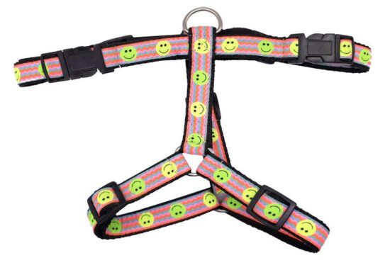 ARNES SMILE 20.0MMX50.0-70.0CMS