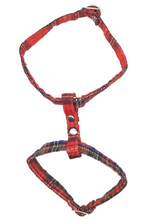 ARNES GATO ESCOCES 10.0MM