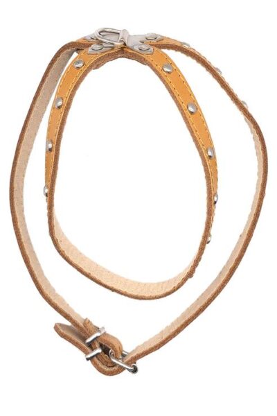PETRAL T-35 FORNITURA 12.0MM 28.0X32.0-40.0CMS NATURAL
