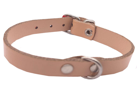 COLLAR CUERO NATURAL 10.0MMX25.0CMS