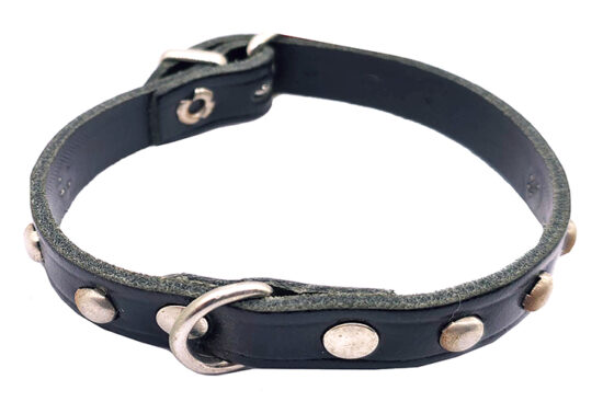 COLLAR 25 NEGRO FORNITURA 10.0MMX25.0CMS