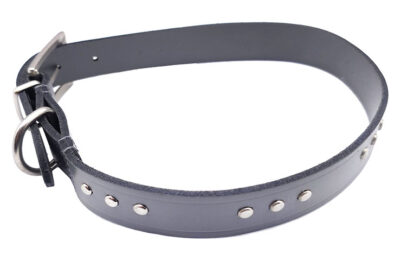 COLLAR FORNITURA FORRADO 25.0MMX45.0-50.0CMS GRIS