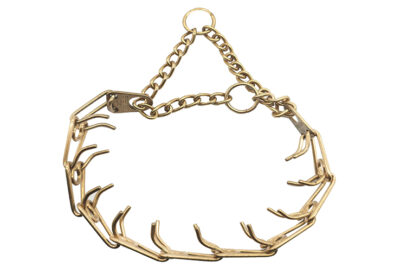 COLLAR EDUCATIVO CUROGAN PEQ