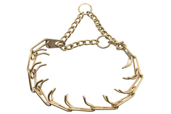 COLLAR EDUCATIVO CUROGAN PEQ