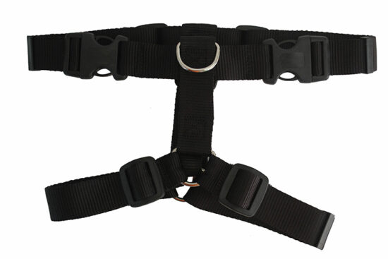 ARNES 19-26C 33-45A NG BASIC