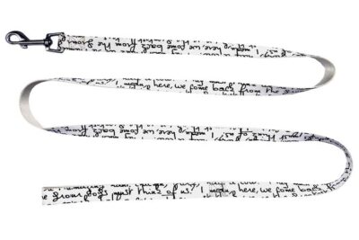 CORREA VERSO 20.0MMX120.0CMS