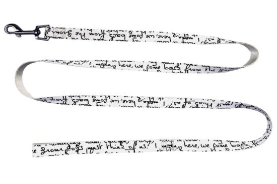 CORREA VERSO 20.0MMX120.0CMS