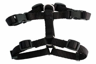 ARNES 23-35C 25-33A NG BASIC