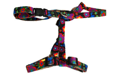 ARNES FLORA 27-44CUELLO 29-50CUERPO