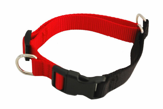 COLLAR ROJO EDUC 2MM 40-55CMS