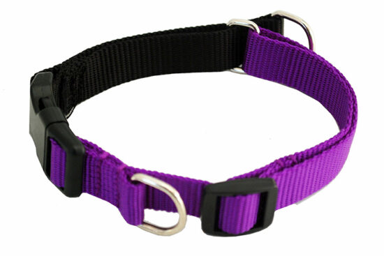 COLLAR PURP EDUC 2MM 40-55CMS