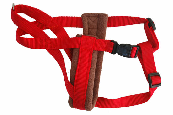 ARNES UP CAN & CROSS ROJO MEDIANO