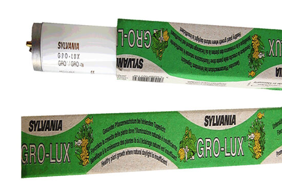 GROLUX T8 59CMS 18W FLUORESCENTE