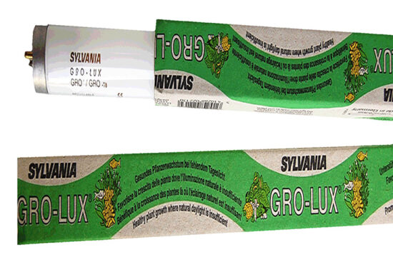 GROLUX T8 74CMS 25W FLUORESCENTE
