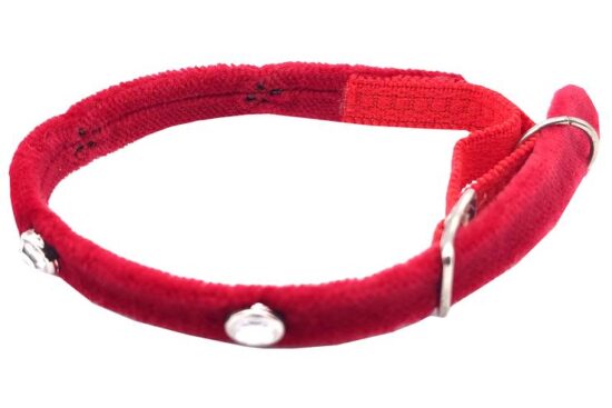 COLLAR RIBBON GATO 10.0MMX27.0CMS