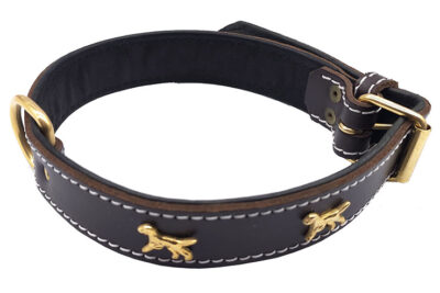 COLLAR GOLDEN PERRITOS  35.0MMX50.0-65.0CMS