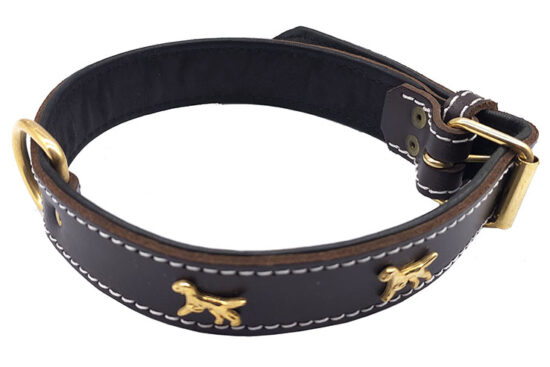 COLLAR GOLDEN PERRITOS  35.0MMX50.0-65.0CMS