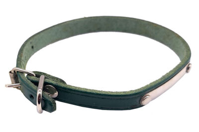 COLLAR C.PLACA 10.0MMX27.0CMS