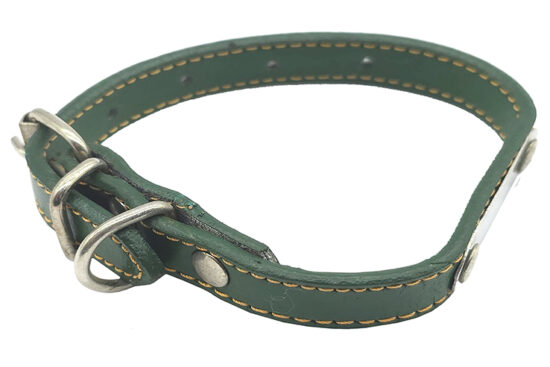 COLLAR CON PLACA 14.0MMX32.0CMS