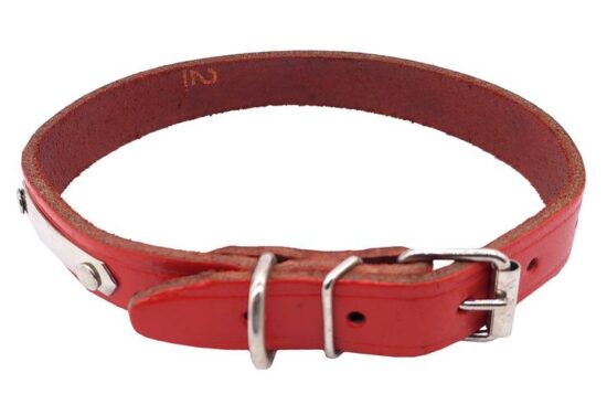 COLLAR CUERO CON PLACA 15.0MMX40.0CMS