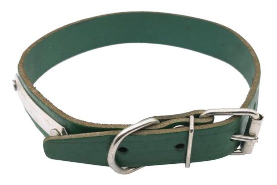 COLLAR CUERO CON PLACA 20.0MMX32.0-45.0CMS