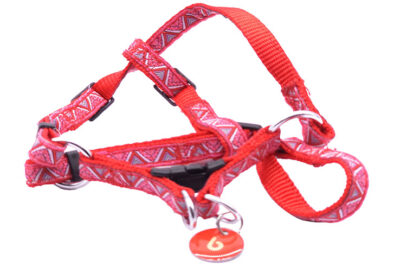 ARNES ETNICO ROJO 1.0X20.0-40.0CMS