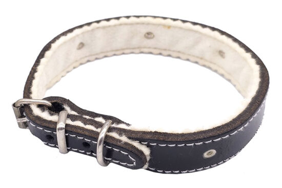 COLLAR  TACHAS CIRCULARES 20.0MMX26.0-35.0CMS