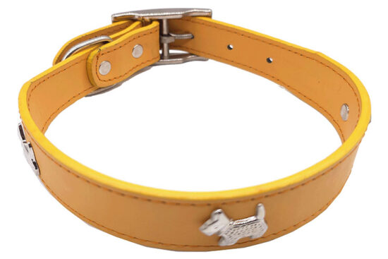 COLLAR FANTASIA 30.0MMX43.0-55.0CMS