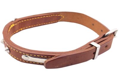COLLAR CUERO DOBLE 22.0MMX50.0CMS CON PLACA