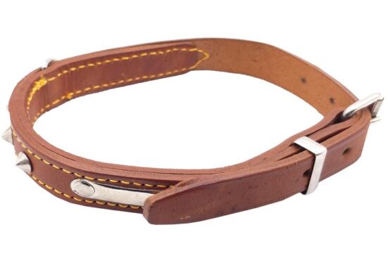 COLLAR CUERO DOBLE 22.0MMX50.0CMS CON PLACA